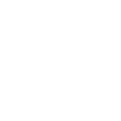 Trip Support & Station Representation Icon